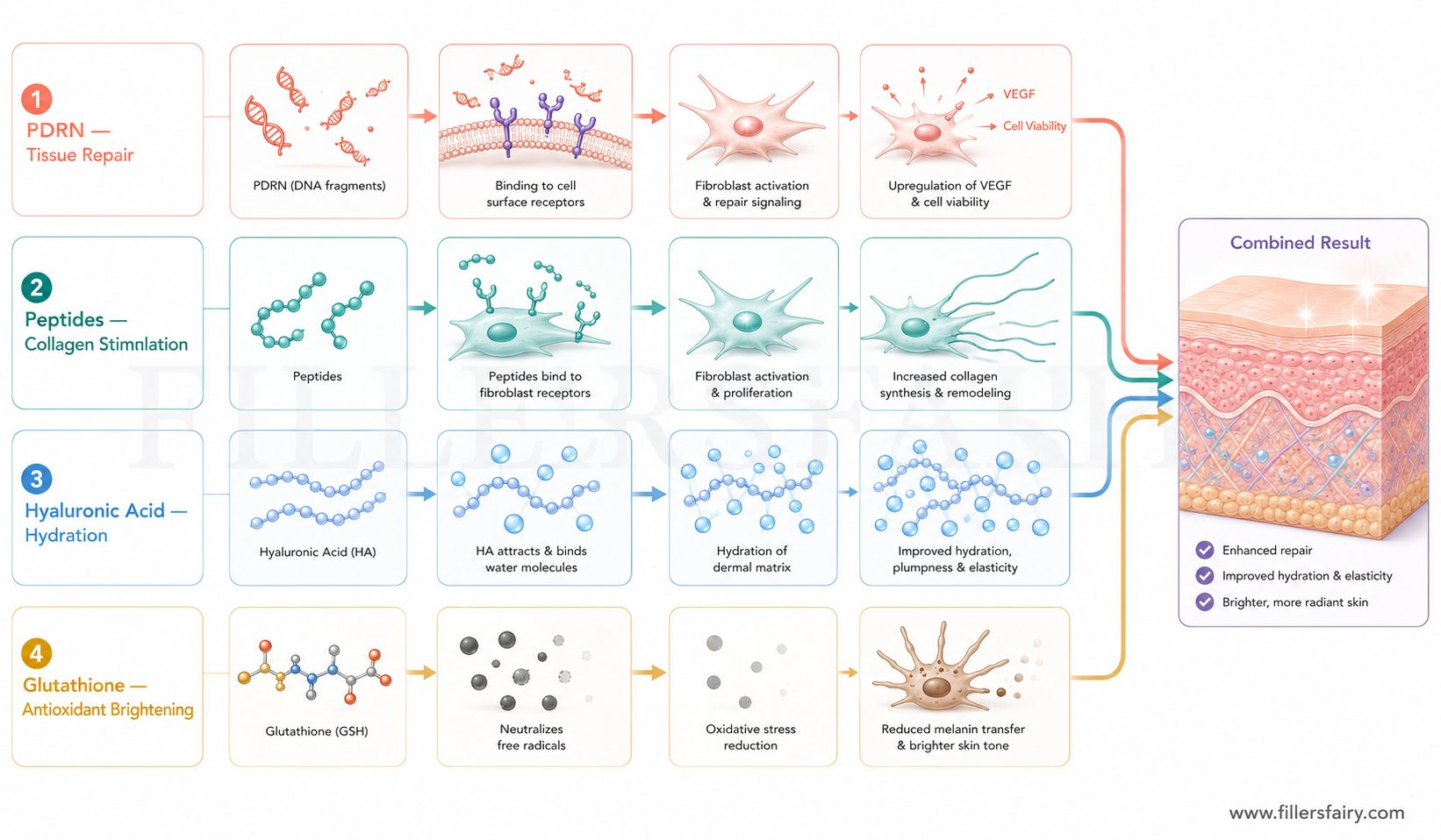 How Curenex Glow works: four-track mechanism showing PDRN tissue repair, peptide collagen stimulation, HA hydration, and glutathione antioxidant protection