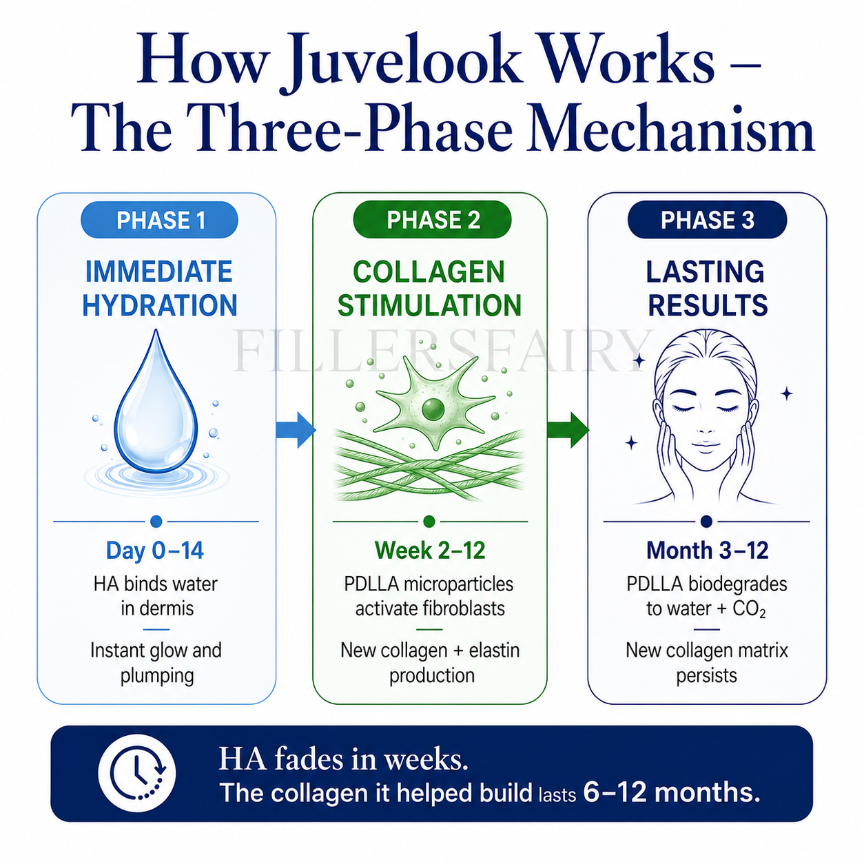 Juvelook three-phase mechanism — HA hydration, PDLLA collagen stimulation, sustained results