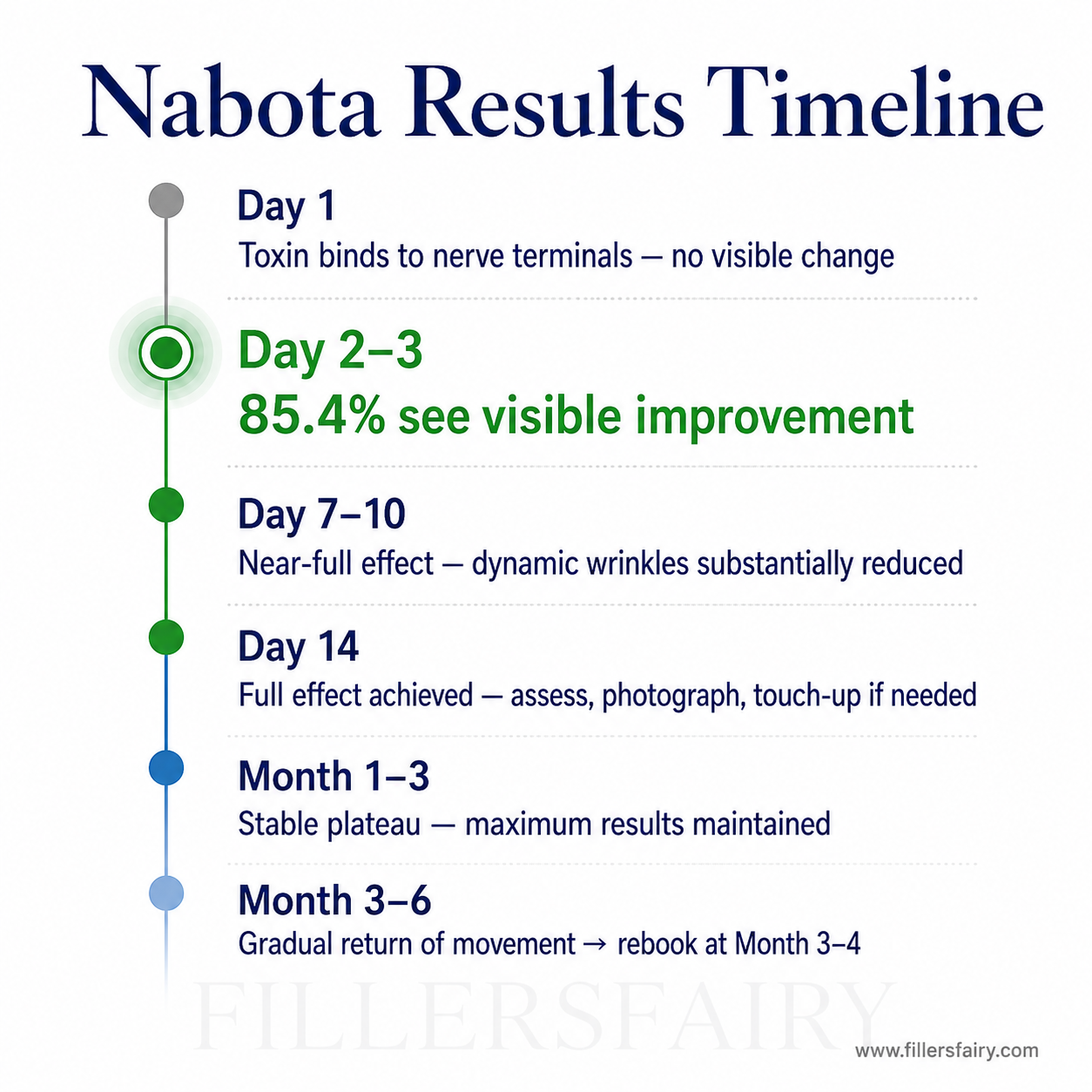 Nabota results timeline — Day 1 to Month 6 progression chart